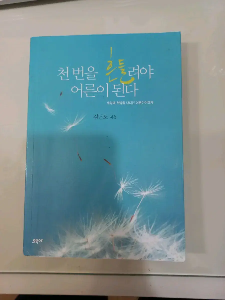 김난도의 천 번을 흔들려야 어른이 된다